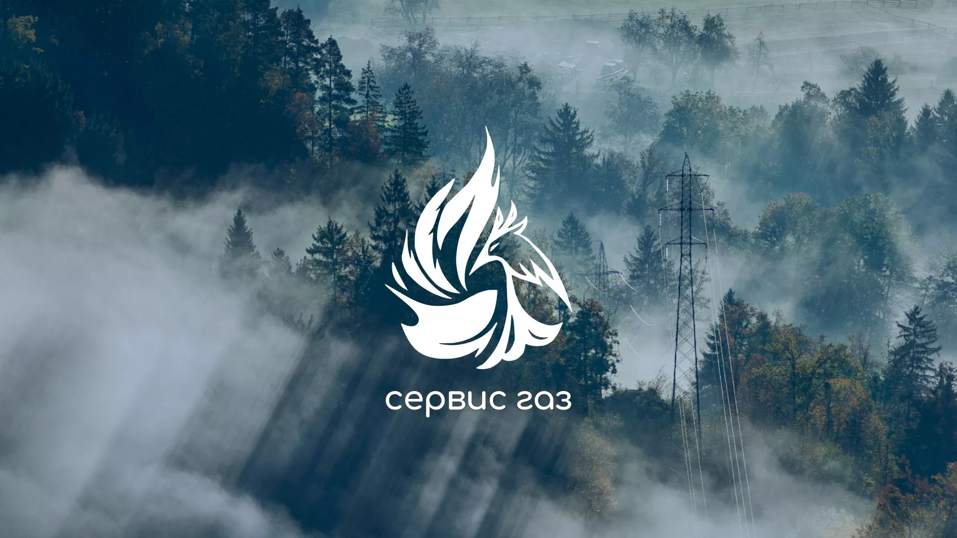 Создание сайта компании «Сервис газ» в Петропавловске-Камчатском