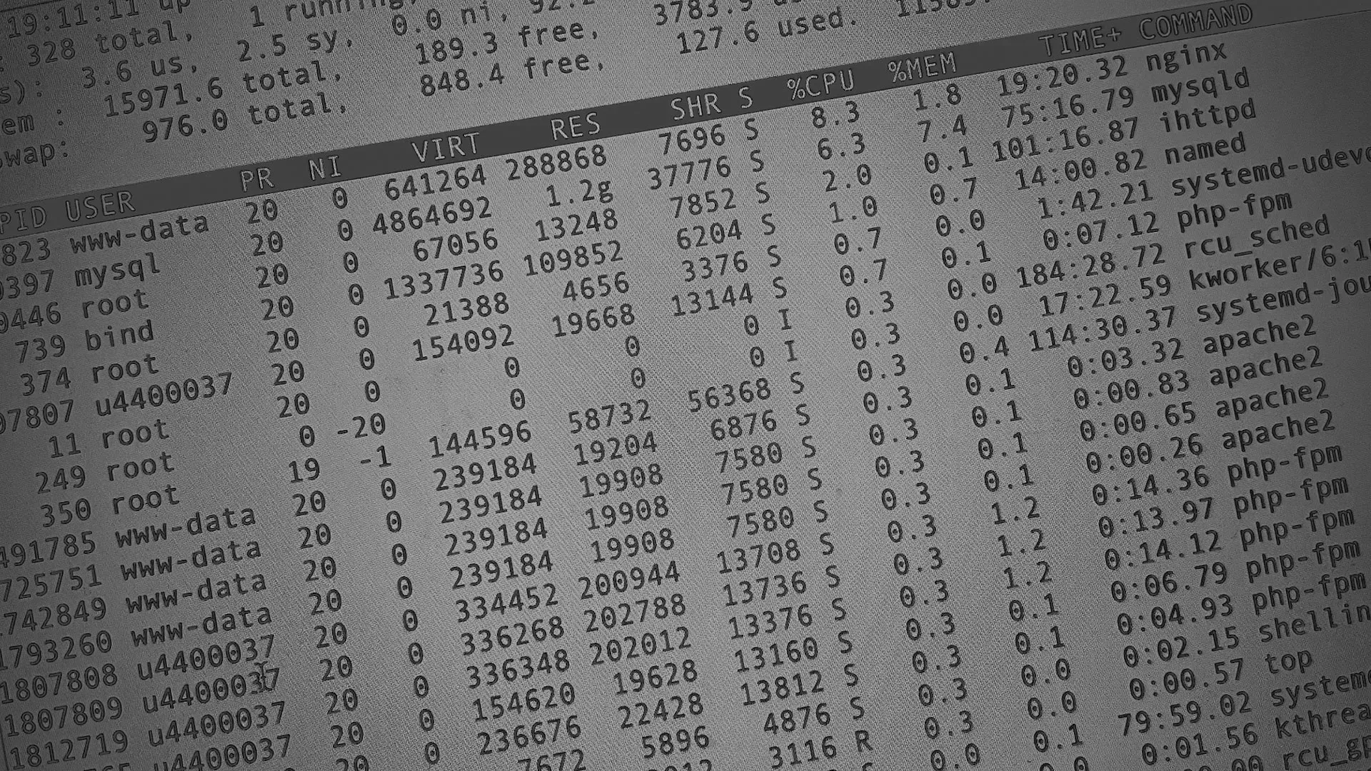 Настройка сервера в Петропавловске-Камчатском