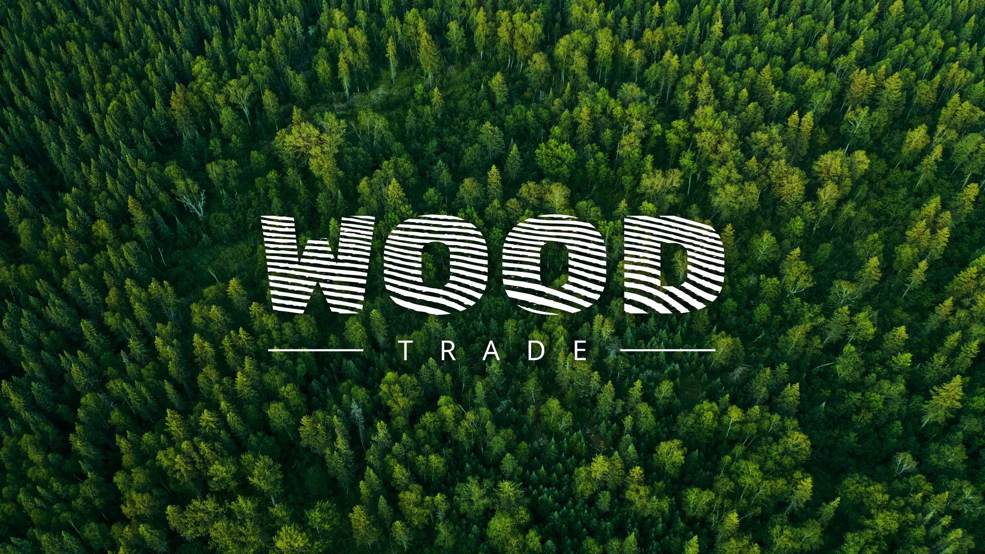 Разработка интернет-магазина компании «Wood Trade» в Петропавловске-Камчатском